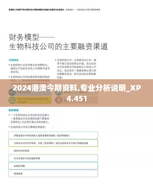 2024港澳今期资料,专业分析说明_XP4.451