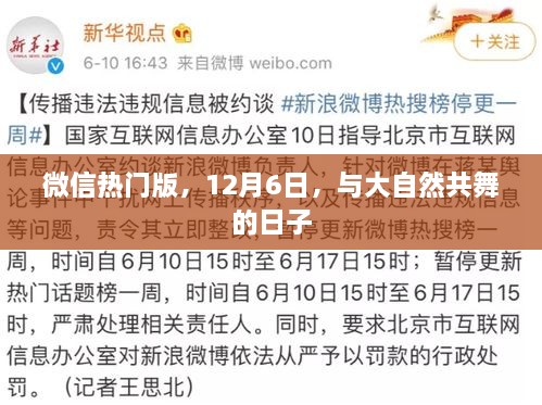 微信热门版12月6日，与大自然的共舞日