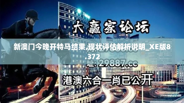 新澳门今晚开特马结果,现状评估解析说明_XE版8.372