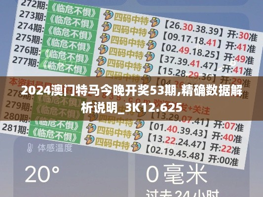 2024澳门特马今晚开奖53期,精确数据解析说明_3K12.625