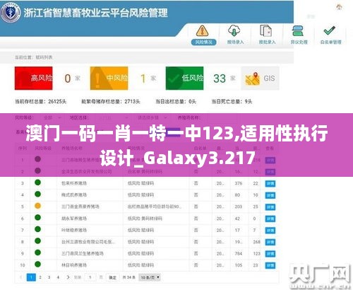 澳门一码一肖一特一中123,适用性执行设计_Galaxy3.217