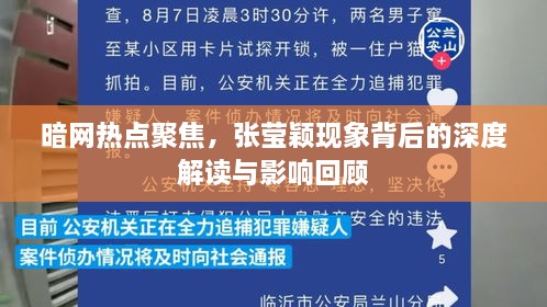 张莹颖现象背后的深度解读，暗网热点聚焦与影响回顾