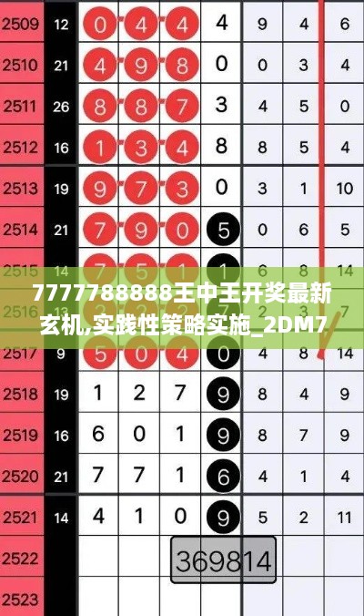 7777788888王中王开奖最新玄机,实践性策略实施_2DM7.616