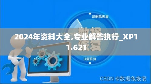 2024年资料大全,专业解答执行_XP11.621