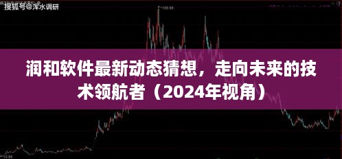 润和软件前瞻，技术领航者的未来走向（2024年视角）