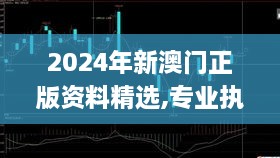 2024年新澳门正版资料精选,专业执行解答_黄金版110.379