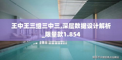 王中王三组三中三,深层数据设计解析_限量款1.854