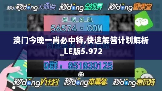 澳门今晚一肖必中特,快速解答计划解析_LE版5.972