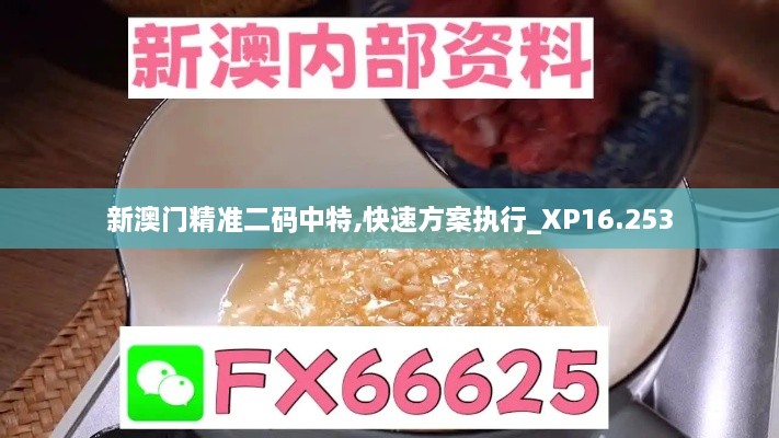 新澳门精准二码中特,快速方案执行_XP16.253