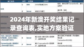 2024年新澳开奖结果记录查询表,实地方案验证_AR7.225