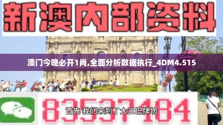 澳门今晚必开1肖,全面分析数据执行_4DM4.515