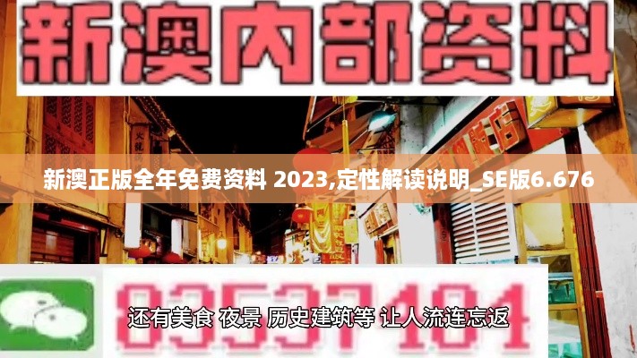 新澳正版全年免费资料 2023,定性解读说明_SE版6.676