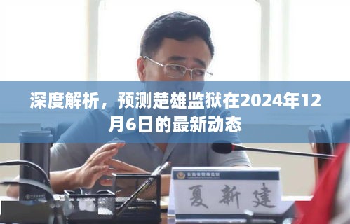 楚雄监狱最新动态预测，深度解析未来至2024年12月6日的动向