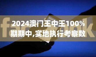 2024澳门王中王100%期期中,实地执行考察数据_视频版10.183