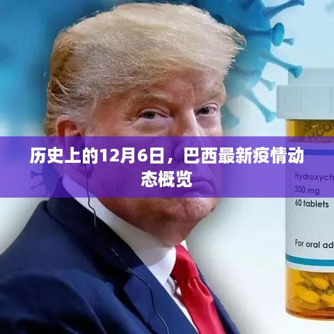 巴西最新疫情动态概览，历史视角下的12月6日回顾