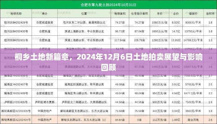 桐乡土地拍卖展望与影响回顾——2024年12月6日篇章解读