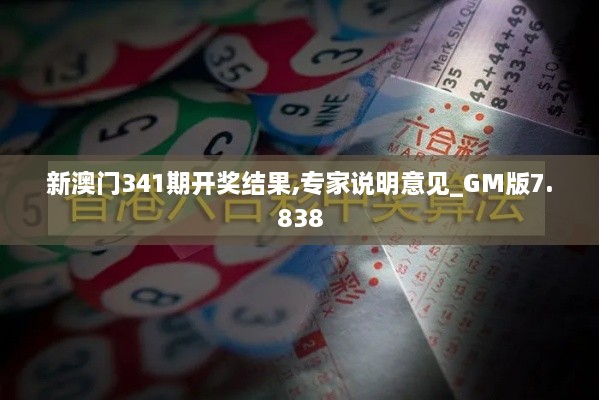 新澳门341期开奖结果,专家说明意见_GM版7.838