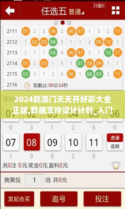 2024新澳门天天开好彩大全正版,数据支持设计计划_入门版10.556