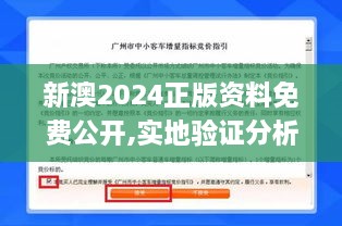 2024年12月11日 第41页