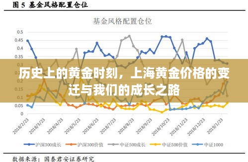 上海黄金价格的变迁，历史见证与成长之路