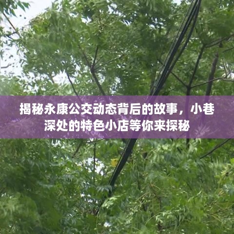 永康公交背后的故事与小巷深处的特色小店探秘之旅