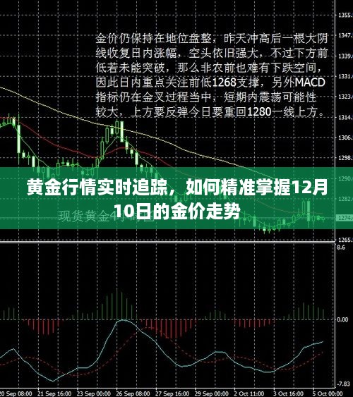 黄金行情实时追踪，掌握12月10日金价走势的精准策略