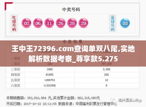 王中王72396.cσm查询单双八尾,实地解析数据考察_尊享款5.275