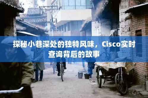 探秘小巷深处的独特风味，Cisco实时查询背后的故事揭秘