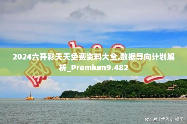 2024六开彩天天免费资料大全,数据导向计划解析_Premium9.482