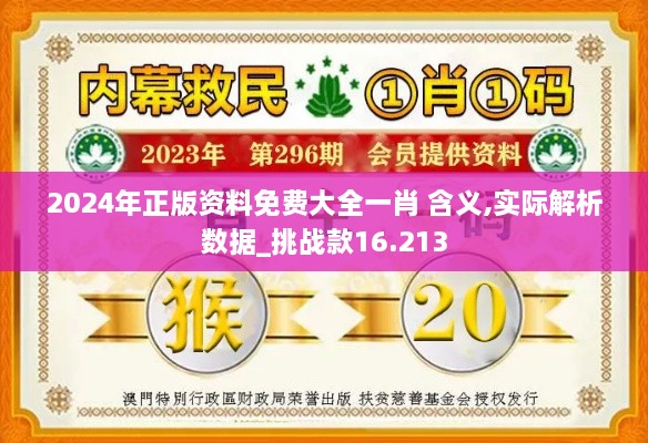 2024年正版资料免费大全一肖 含义,实际解析数据_挑战款16.213