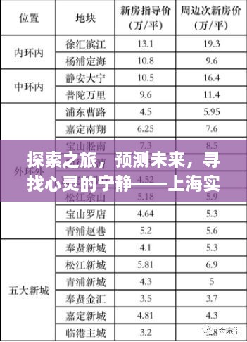 上海实时到站查询，探索未来，寻找心灵宁静的奇妙之旅