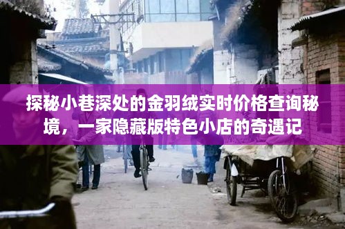 探秘小巷深处的金羽绒，隐藏版特色小店奇遇与实时价格查询秘境