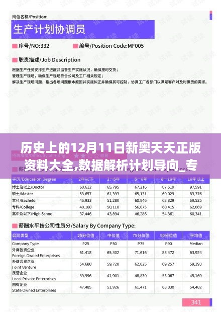 历史上的12月11日新奥天天正版资料大全,数据解析计划导向_专家版9.477