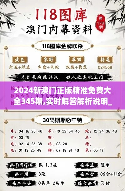 2024新澳门正版精准免费大全345期,实时解答解析说明_Executive4.640