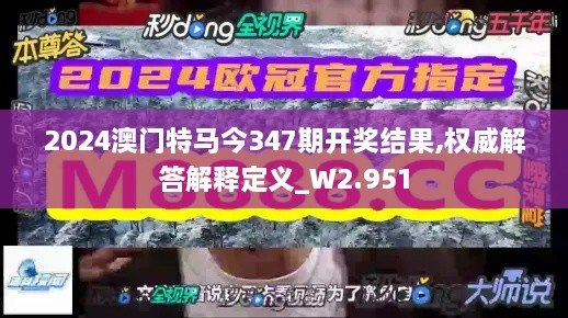 2024澳门特马今347期开奖结果,权威解答解释定义_W2.951