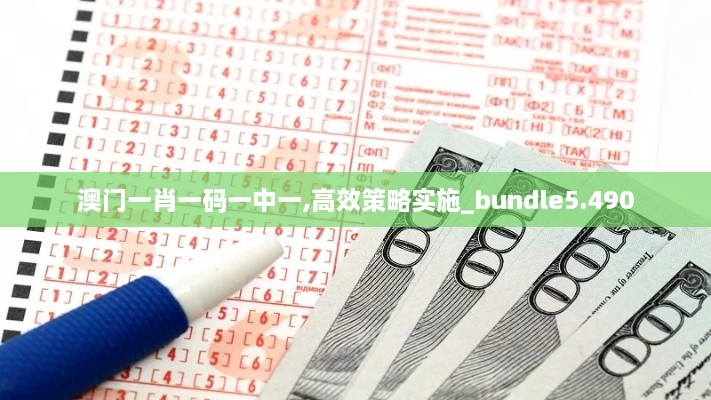 澳门一肖一码一中一,高效策略实施_bundle5.490