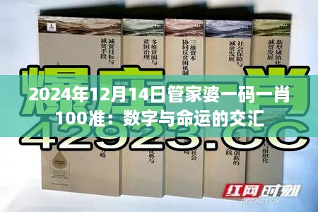 2024年12月14日管家婆一码一肖100准：数字与命运的交汇