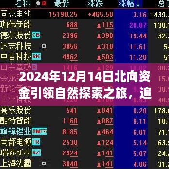 北向资金引领心灵之旅，追寻宁静与欢笑的自然探索之旅（2024年12月14日）