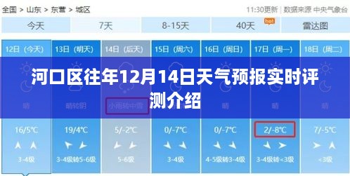 河口区往年12月14日天气预报实时评测详解