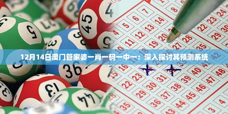 12月14日澳门管家婆一肖一码一中一：深入探讨其预测系统