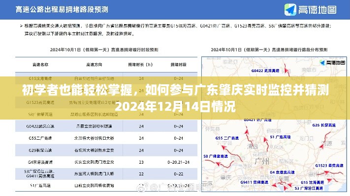 广东肇庆实时监控入门指南，预测2024年12月14日状况的新手教程