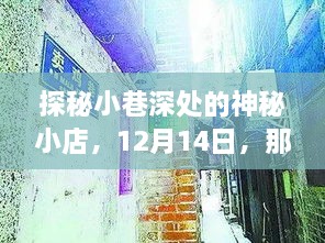 探秘小巷神秘小店，台风与地图的奇妙故事，12月14日纪实