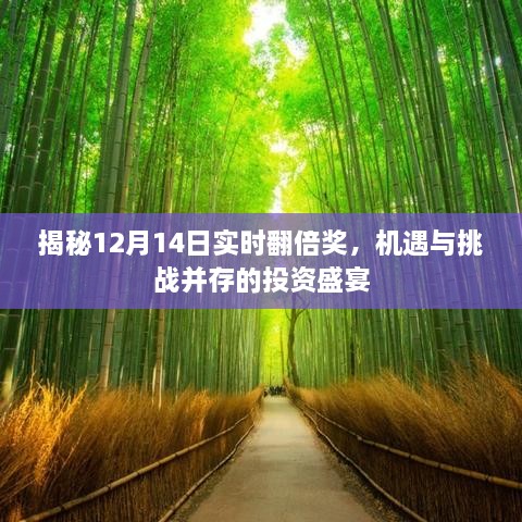 揭秘投资盛宴，机遇与挑战并存的实时翻倍奖盛宴（12月14日）