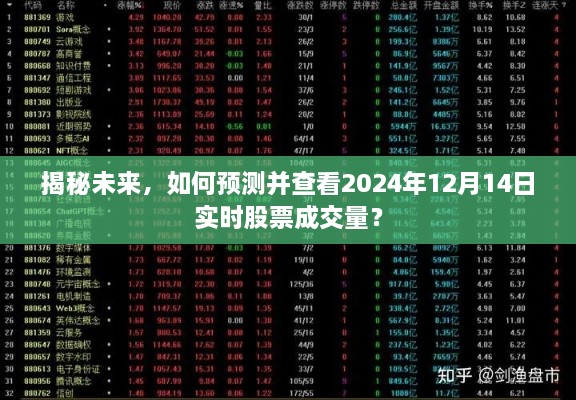 揭秘未来股市走势，预测与查看股票成交量趋势分析（以2024年12月14日为例）