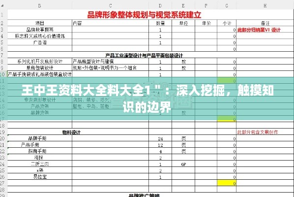 王中王资料大全料大全1＂：深入挖掘，触摸知识的边界