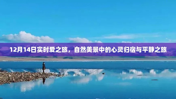 12月14日实时爱之旅，自然美景中的心灵归途与平静之旅