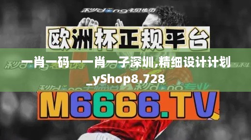 一肖一码一一肖一子深圳,精细设计计划_yShop8.728