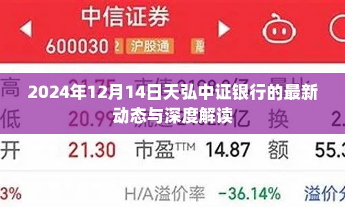 天弘中证银行最新动态深度解读，聚焦市场动态与行业趋势（2024年12月14日）