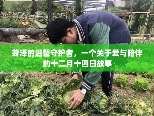 菏泽的温馨守护者，爱与陪伴的温暖故事