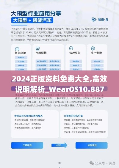 2024正版资料免费大全,高效说明解析_WearOS10.887